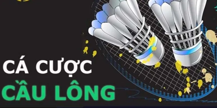 Hướng Dẫn Chơi Cá Cược Cầu Lông Tại DV88 Chi Tiết Nhất